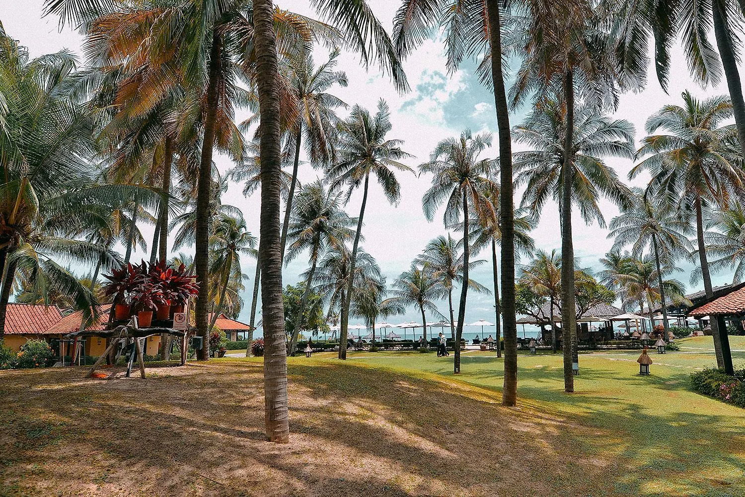 Seahorse Resort & Spa Mui Ne
